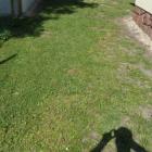 BF11_4 FEWO - Urlaub in Balatonfenyves http://www.plattenseereisen.com Tel: +36302597240