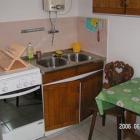 BF47 Ferienhaus in Balatonfenyves am Ufer