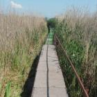 Hungary - Balatonfenyves  Villa - private pier