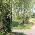 Balatonfenyves Villa - accomodation - http://plattenseereisen.com Tel:+36302597240