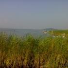 Balatonfenyves - Holiday in Hungary at Lake Balaton