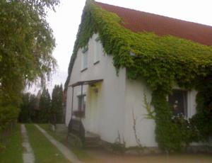 Balatonfenyves - Holiday in Hungary at Lake Balaton
