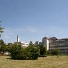 FENYVES HOTEL - Balatonfenyvesi közvetlen vízparti Hotel