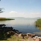FENYVES HOTEL - Balatonfenyvesi közvetlen vízparti Hotel