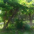 Balatonfenyves apartamenty nabrzeża