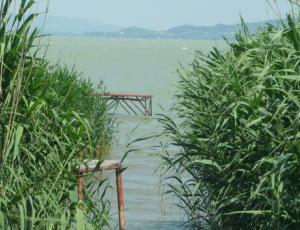 Hungary - Balatonfenyves  Villa - private pier